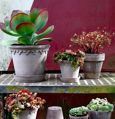 Blomkruka Copenhagen Grey från Bergs Potter på metallhylla