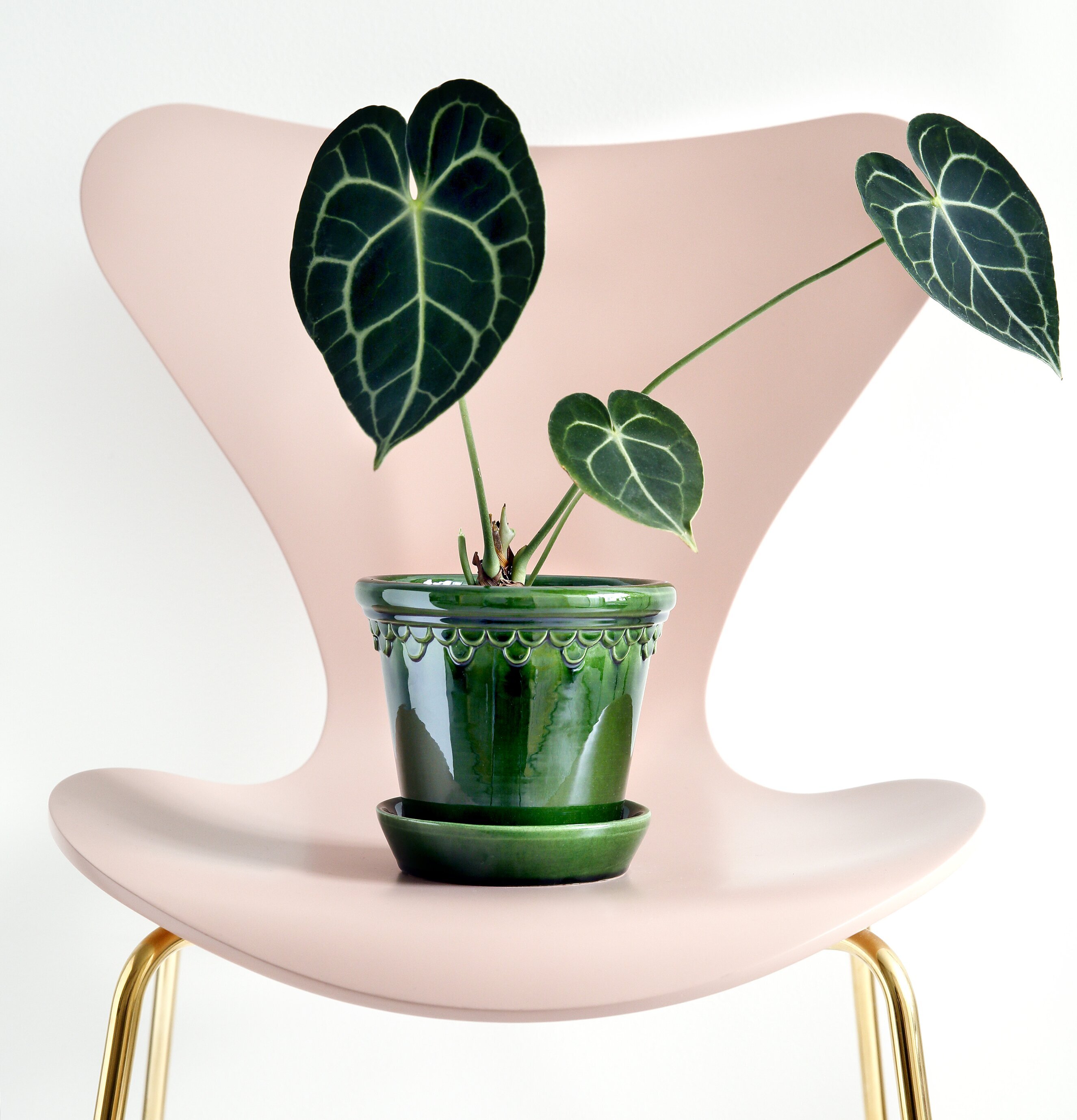 Copenhagen Green Emerald från Bergs Potter på rosa stol