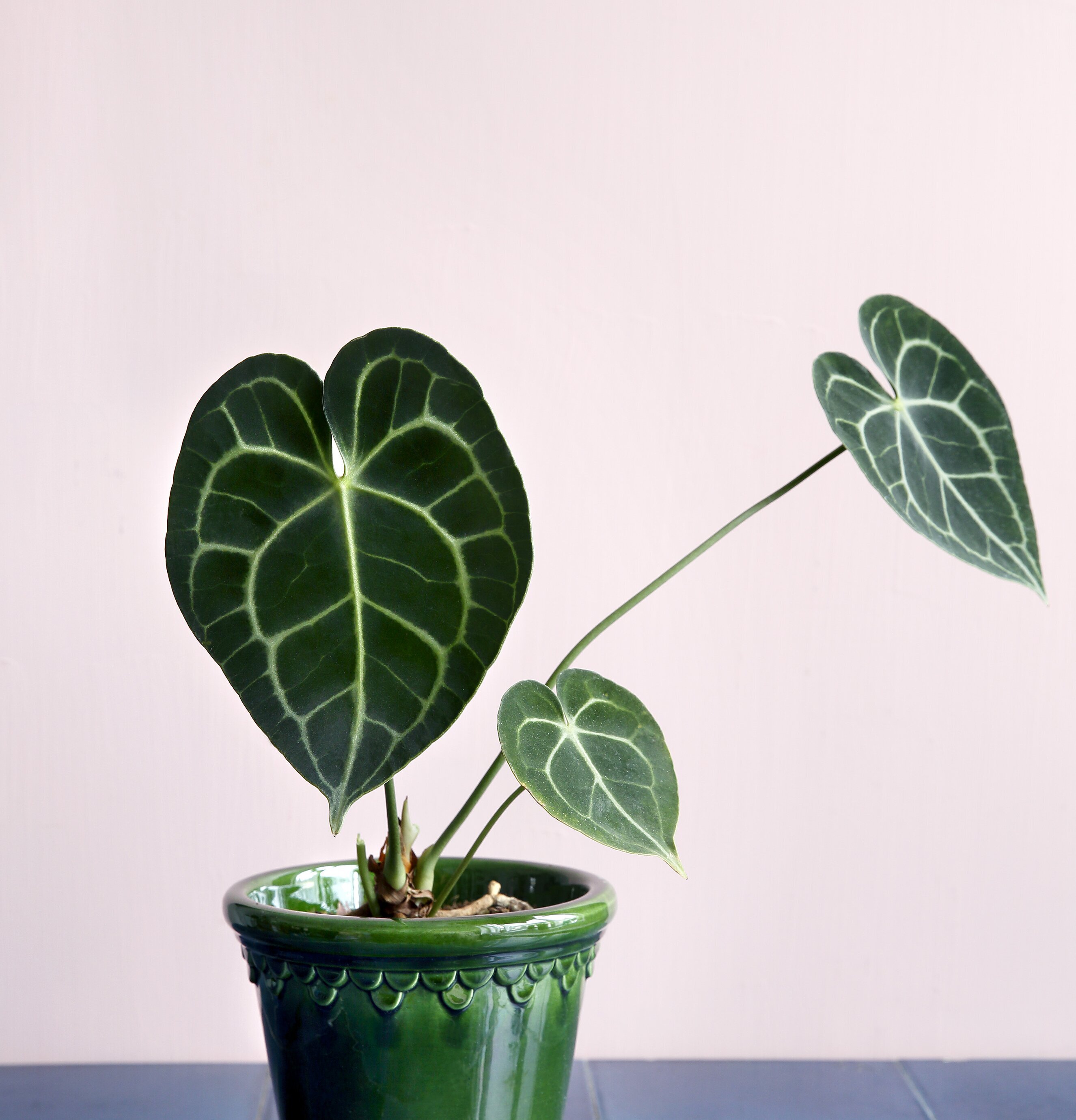 Bergs Potter Copenhagen Green Emerald-kruka på kakelbord