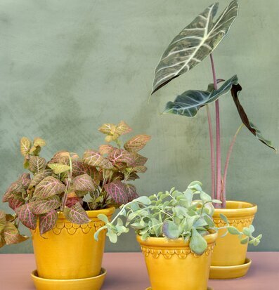 Bergs Potter Copenhagen Yellow Amber blomkrukor i keramik