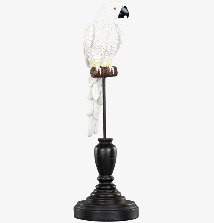 Papegoja Stativ Vit från A Lot Decoration på brun sittpinne