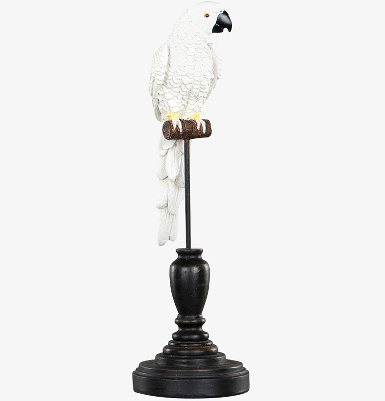 Papegoja Stativ Vit från A Lot Decoration på brun sittpinne