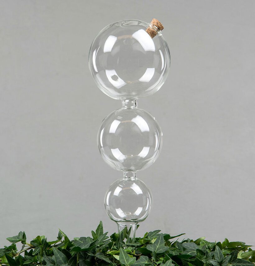 Bevattningsglas Bubbla från A Lot Decoration i gröna växter
