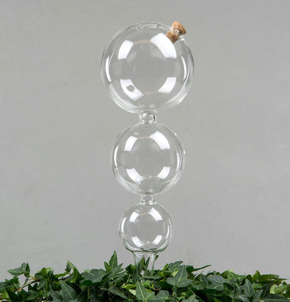 Bevattningsglas Bubbla från A Lot Decoration i gröna växter