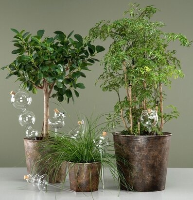 Bevattningsglas Fågel från A Lot Decoration i krukväxter