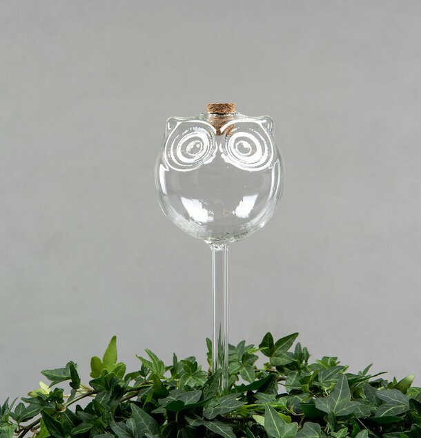 Bevattningsglas Uggla från A Lot Decoration i murgröna