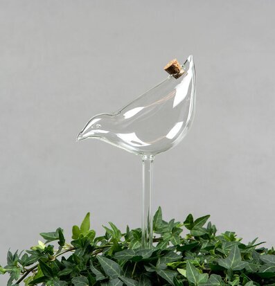 Bevattningsglas Fågel från A Lot Decoration över växter