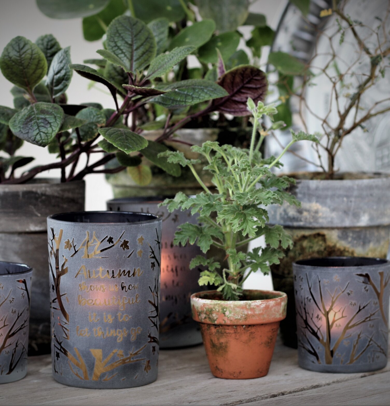 Bild av harmonisk inredning med ljuslyktor och växter