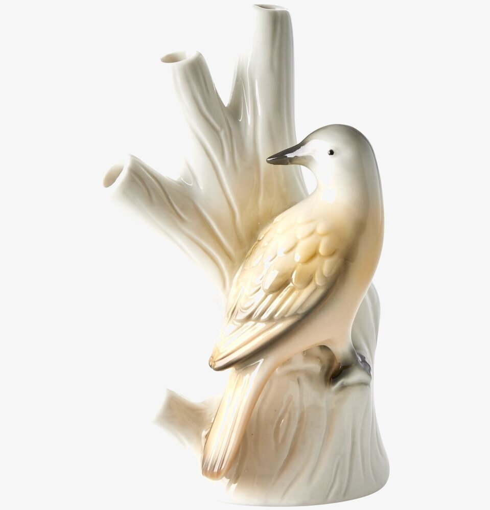 Porslinsvas Fågel Aprikos från Rice på enkel bakgrund