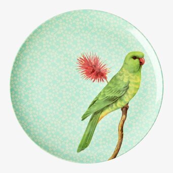 Tallrik Vintage Bird print Green från Rice med grön fågel