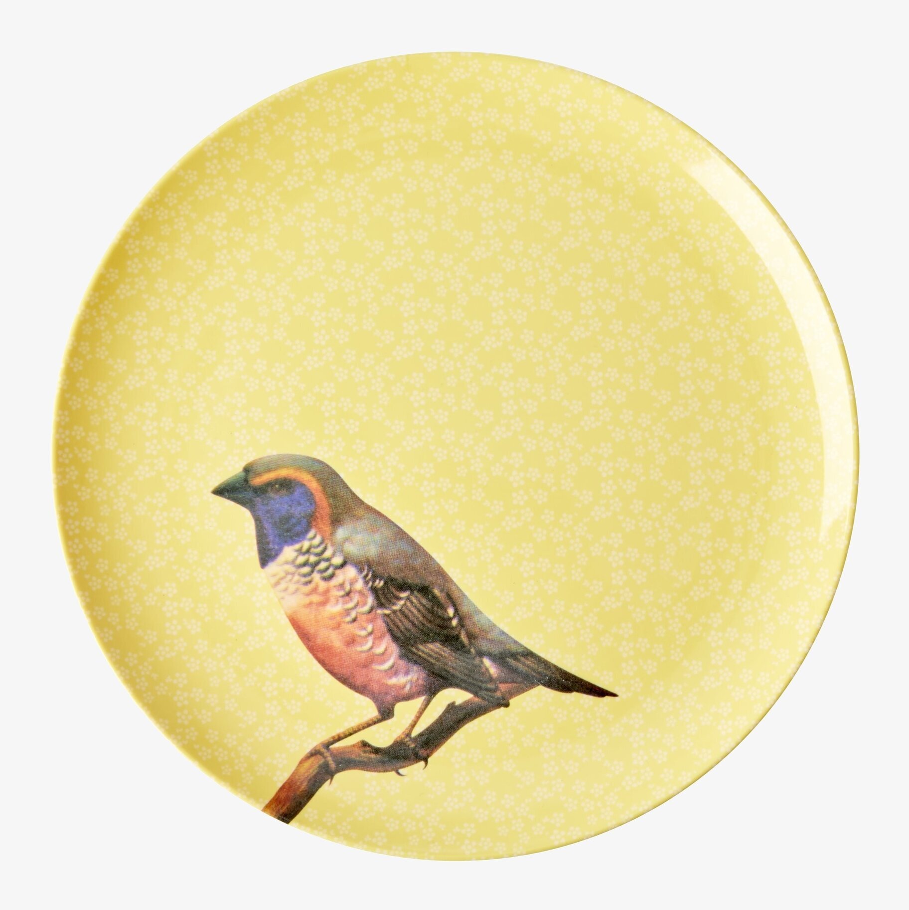 Tallrik Vintage Bird Print Yellow från Rice med fågelmotiv
