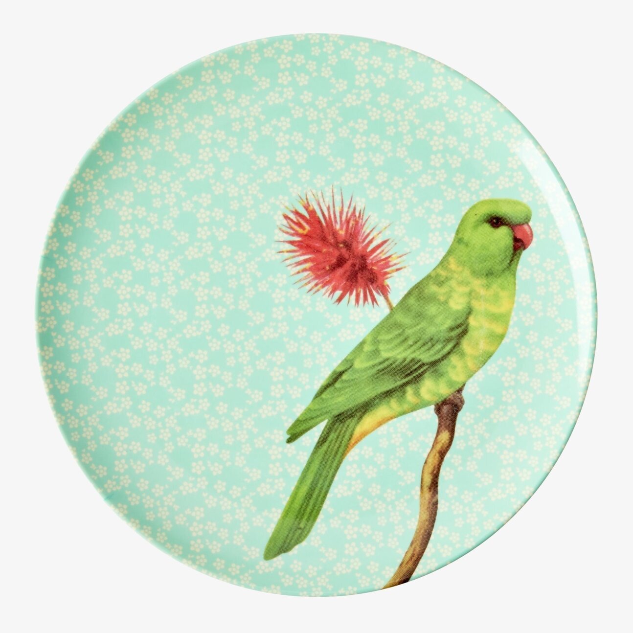 Assiett Vintage Bird Print Green från Rice med papegojmotiv