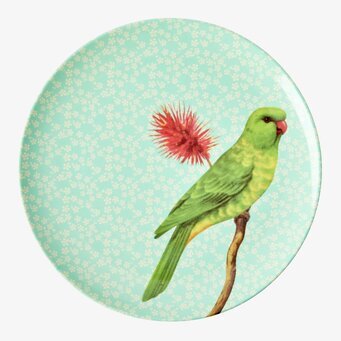 Assiett Vintage Bird Print Green från Rice med papegojmotiv