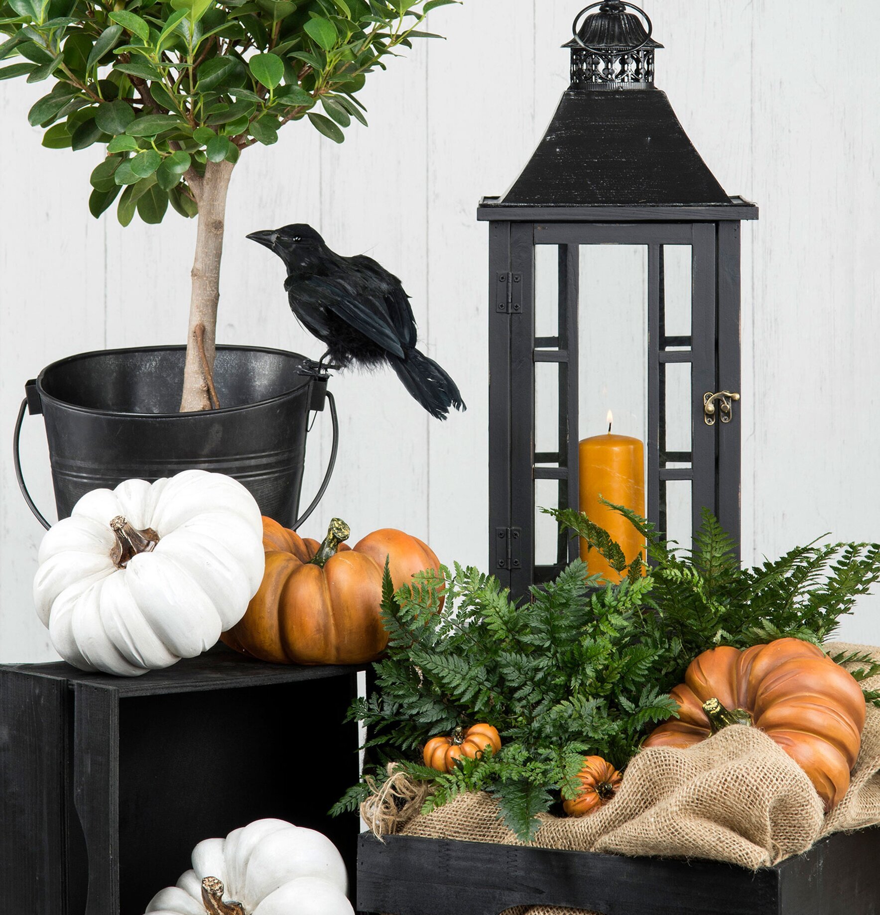 Pumpa Vit Poly från A Lot Decoration i höstligt stilleben