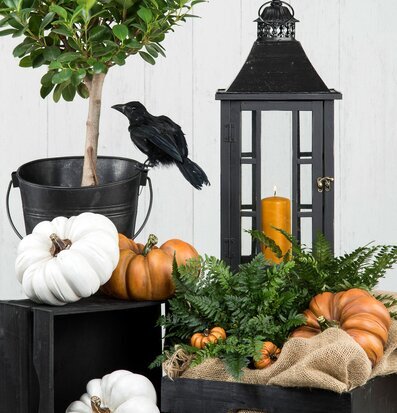 Pumpa Vit Poly från A Lot Decoration i höstligt stilleben