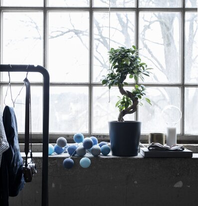 Ljusslinga Ocean Blue 35 Bollar från Iris Lights i fönster