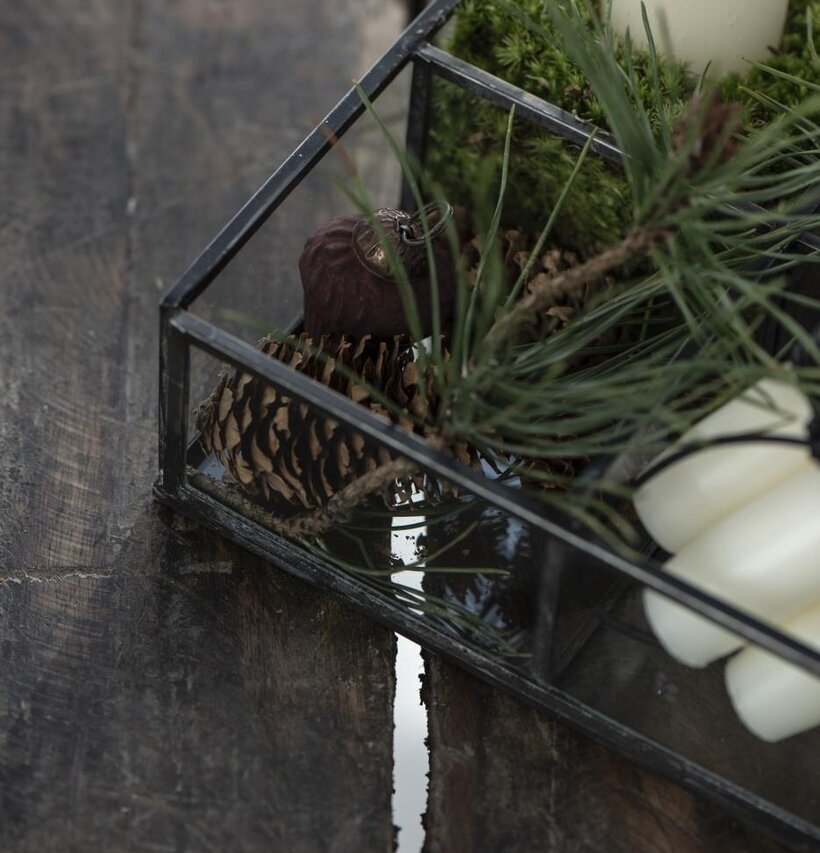 Glasbox 4-Fack från IB Laursen med naturinspirerad dekoration