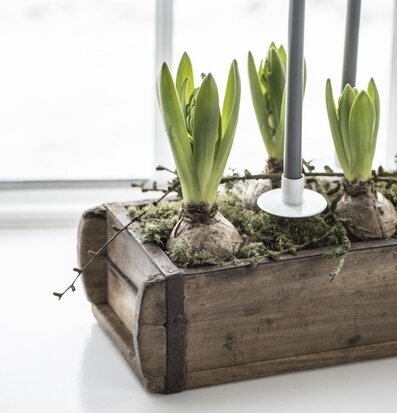 Murstensform - Trälåda från IB Laursen med växter och ljus