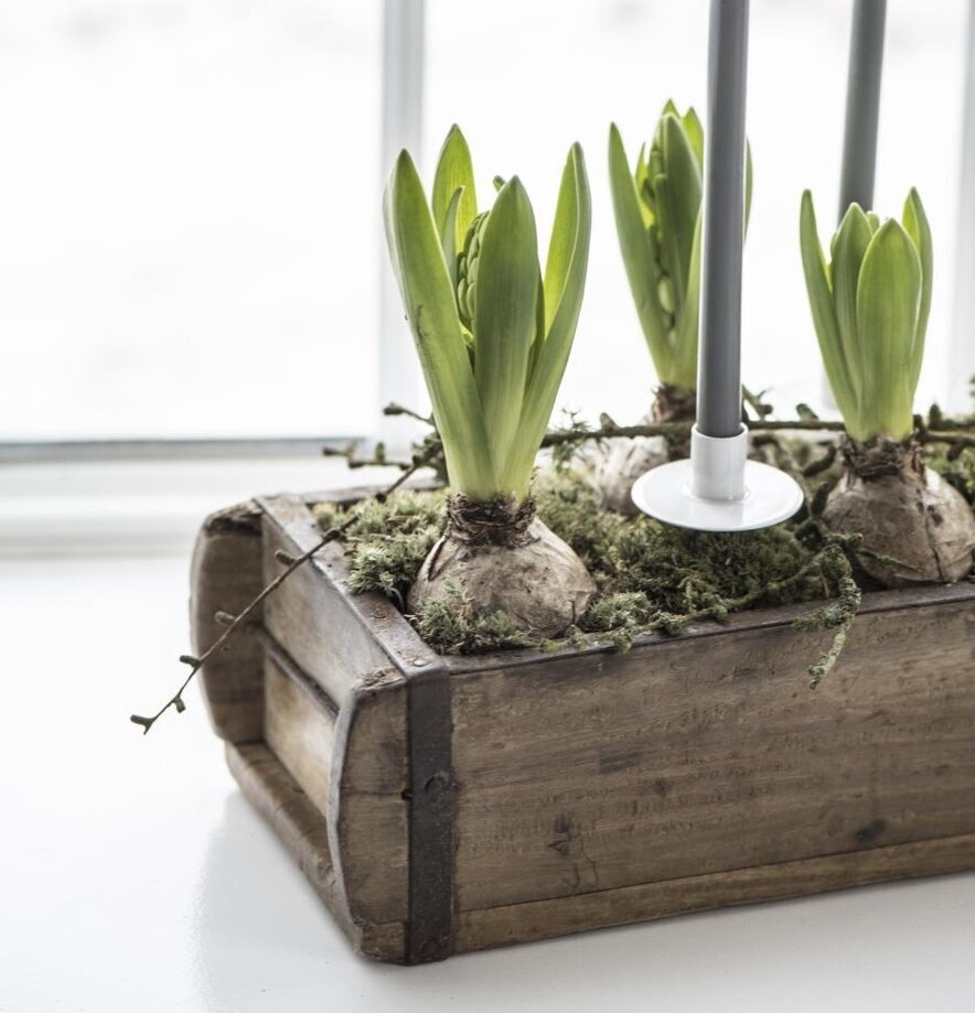 Murstensform - Trälåda från IB Laursen med växter och ljus