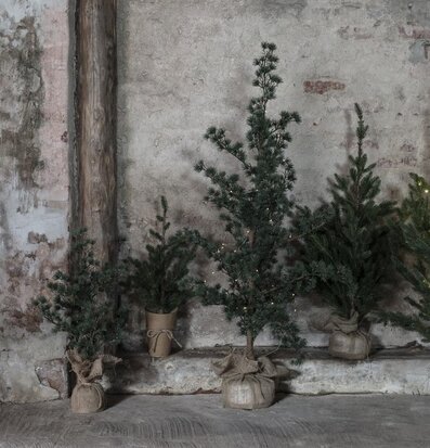 Cederträd I Jutesäck från IB Laursen i rustik miljö