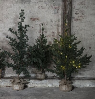 Granträd I Jutesäck från IB Laursen mot tegelvägg