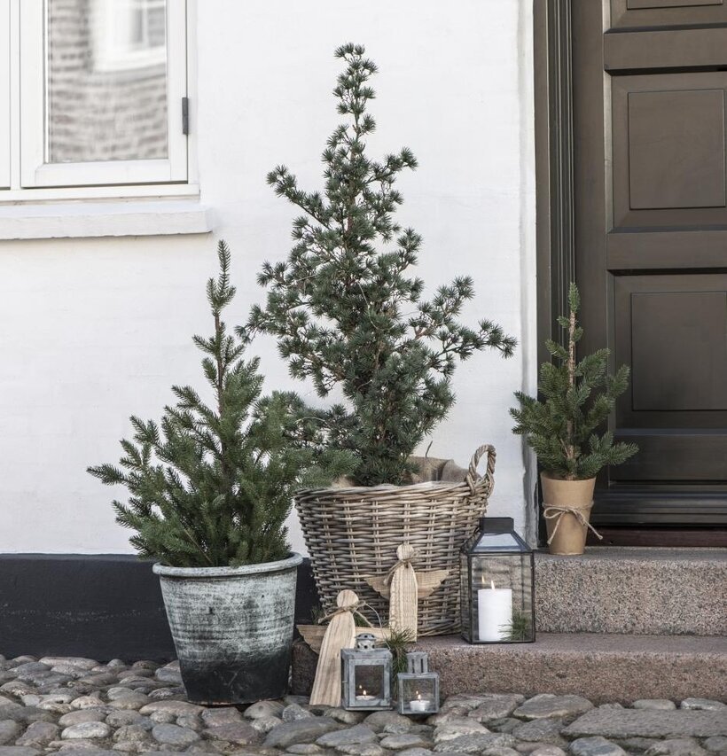 Granträd I Jutesäck från IB Laursen vid en inbjudande entré