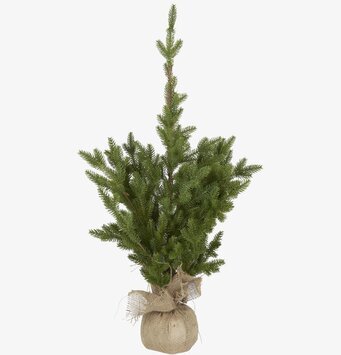 Granträd I Jutesäck från IB Laursen, naturnära och detaljerad