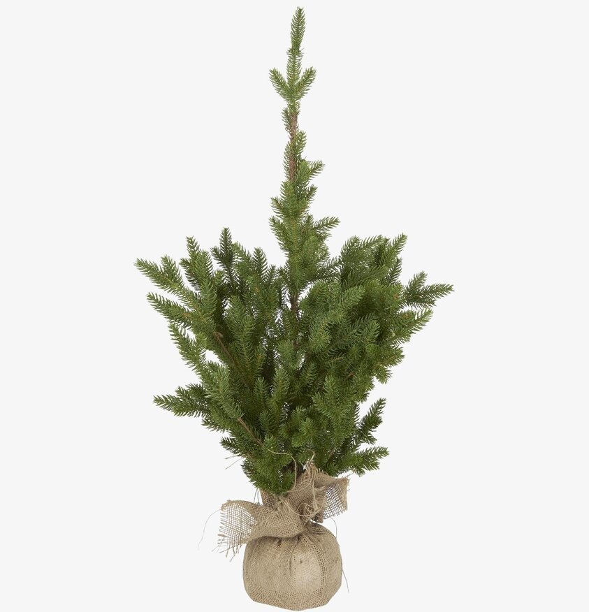 Granträd I Jutesäck från IB Laursen, naturnära och detaljerad