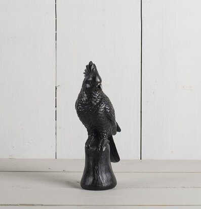 Papegoja Svart från Multi Agentur på en träliknande bas