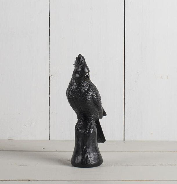 Papegoja Svart från Multi Agentur på en träliknande bas