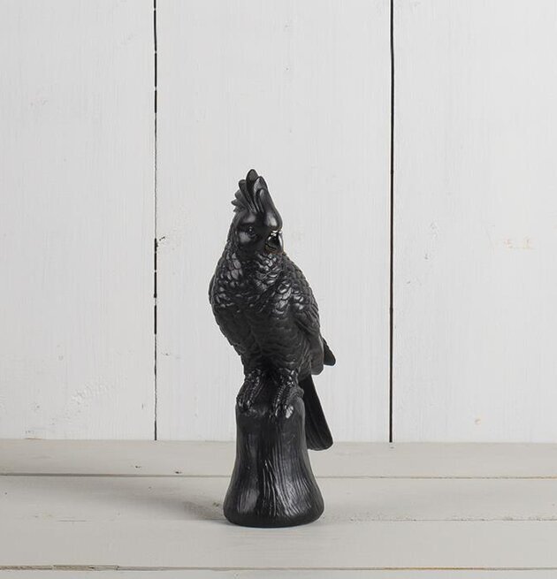 Papegoja Svart från Multi Agentur på en träliknande bas