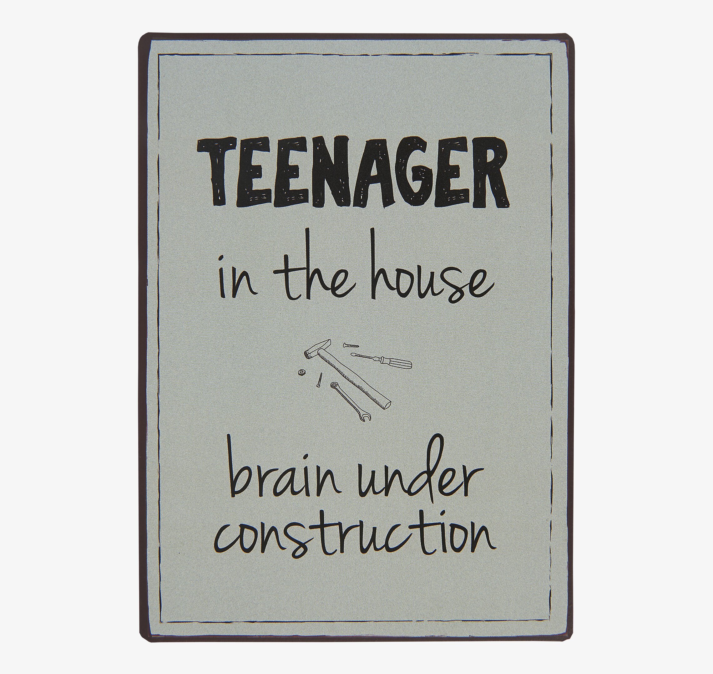 Metallskylt - Teenager In The House från IB Laursen