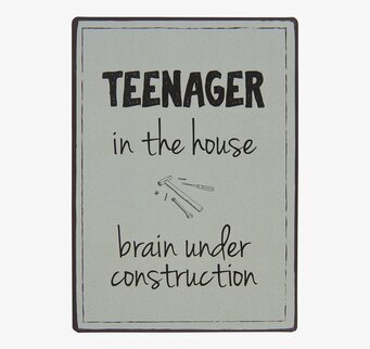 Metallskylt - Teenager In The House IB Laursen Väggdekoration Väggskyltar Posters Affischer Plåttavlor Plåtskyltar Tavlor Kalenderhängare