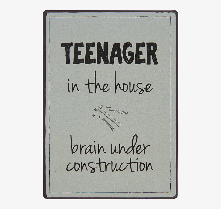 Metallskylt - Teenager In The House från IB Laursen