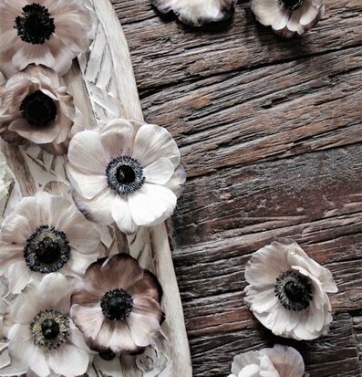 Träfat Fleur Ovalt Whitewash från Majas Cottage på rustikt bord