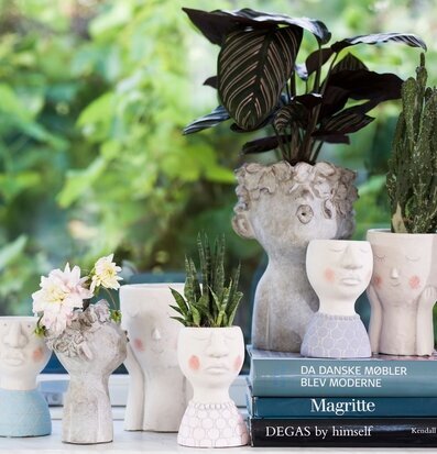 Blomkruka Ansikte Vit från Bahne med böcker och växter