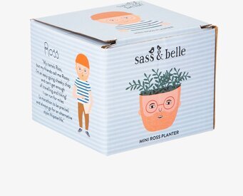 Kruka Mini Ross från Sass & Belle i en vit bakgrund