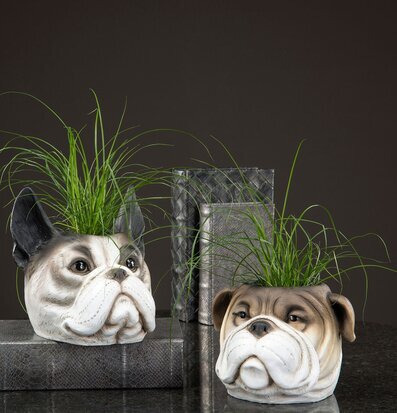 Kruka Bulldog Brun från A Lot Decoration med växt i.