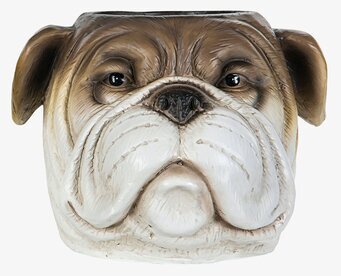 Kruka Bulldog Brun från A Lot Decoration, detaljrik design