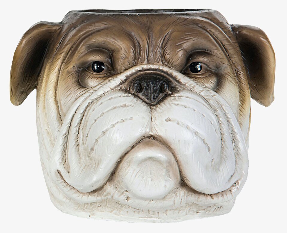 Kruka Bulldog Brun från A Lot Decoration, detaljrik design
