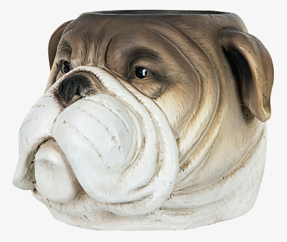 Kruka Bulldog Brun från A Lot Decoration i detaljrik design