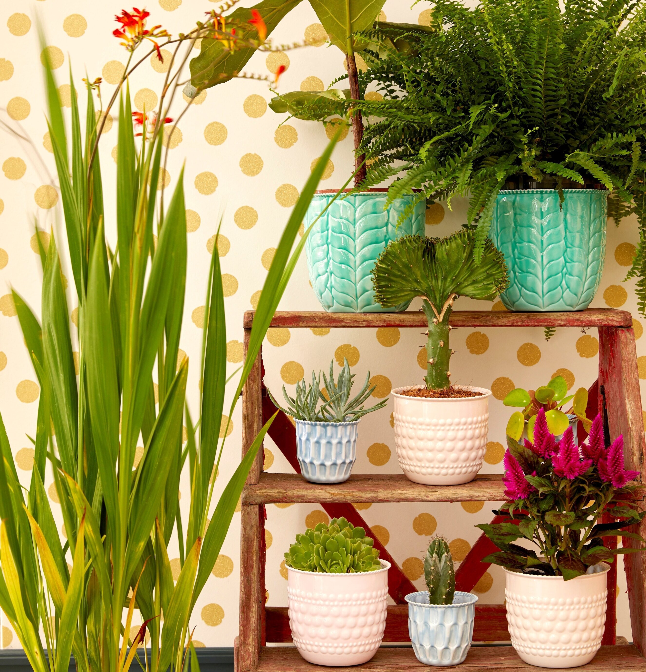 Blomkruka Blue Small från Rice på röd hylla med växter