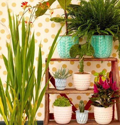 Blomkruka Blue Small från Rice på röd hylla med växter