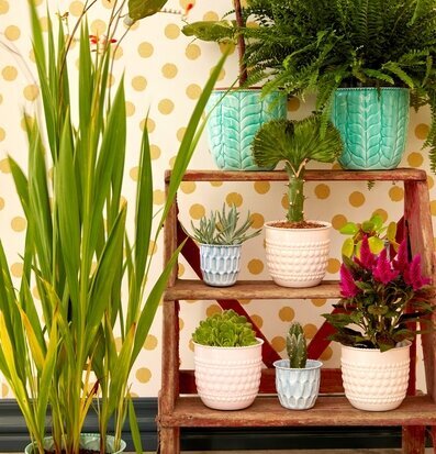 Blomkruka Soft Pink Medium från Rice på trästege med växter