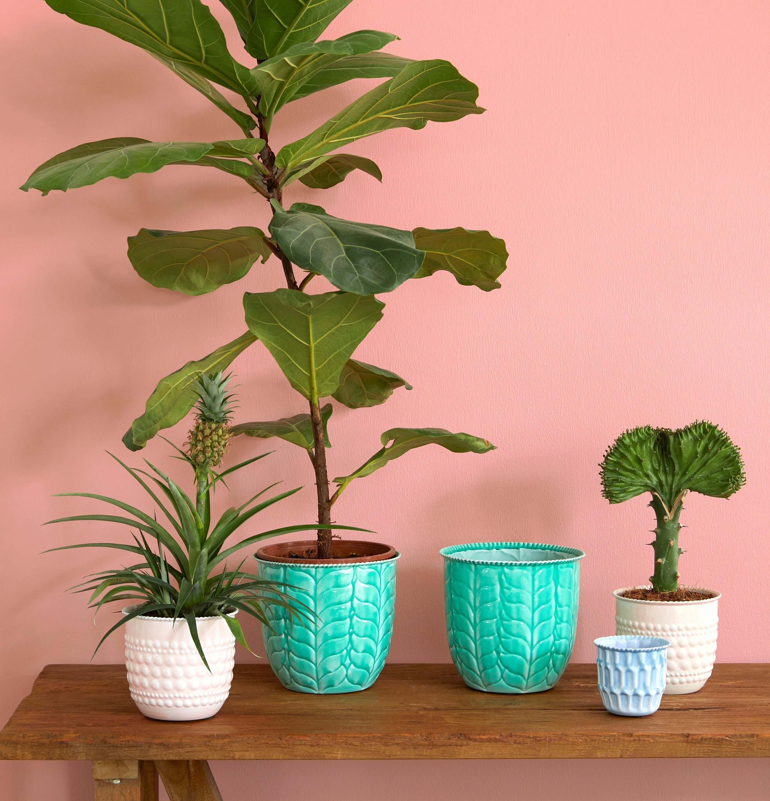 Blomkruka Soft Pink Medium från Rice på träbänk med växter