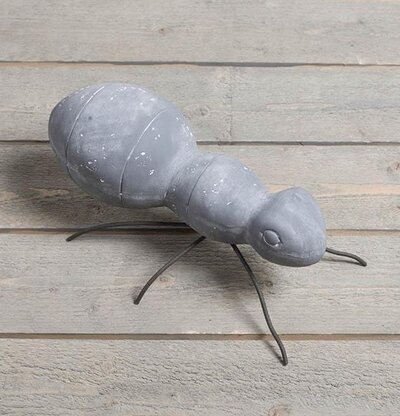 Trädgårdsmyra Mellan från Multi Agentur på träplankor