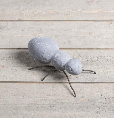 Trädgårdsmyra Liten från Multi Agentur mot träpanel