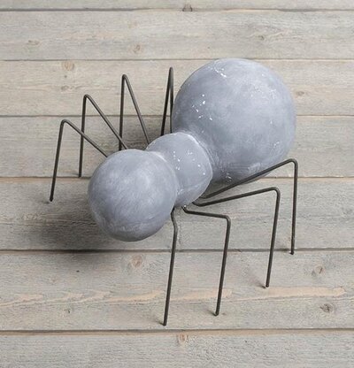 Trädgårdsspindel Mellan från Multi Agentur på träterrass