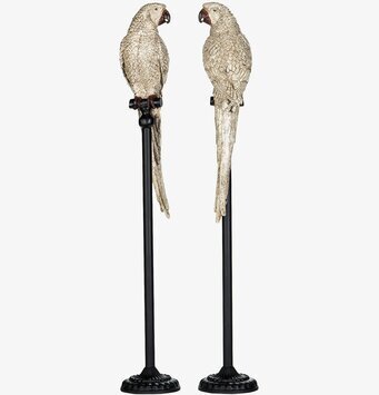 Papegoja Stativ Champagne från A Lot Decoration