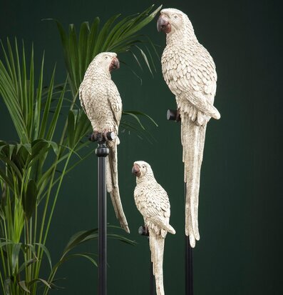 Papegoja Stativ Champagne från A Lot Decoration på stativ